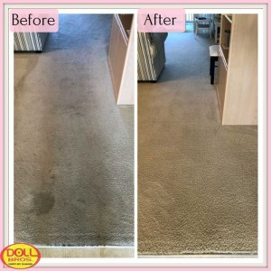 gallery Carpet-Cleaning2