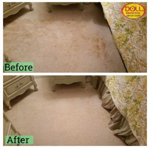 gallery Carpet-Cleaning3
