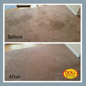 gallery Carpet-Cleaning6