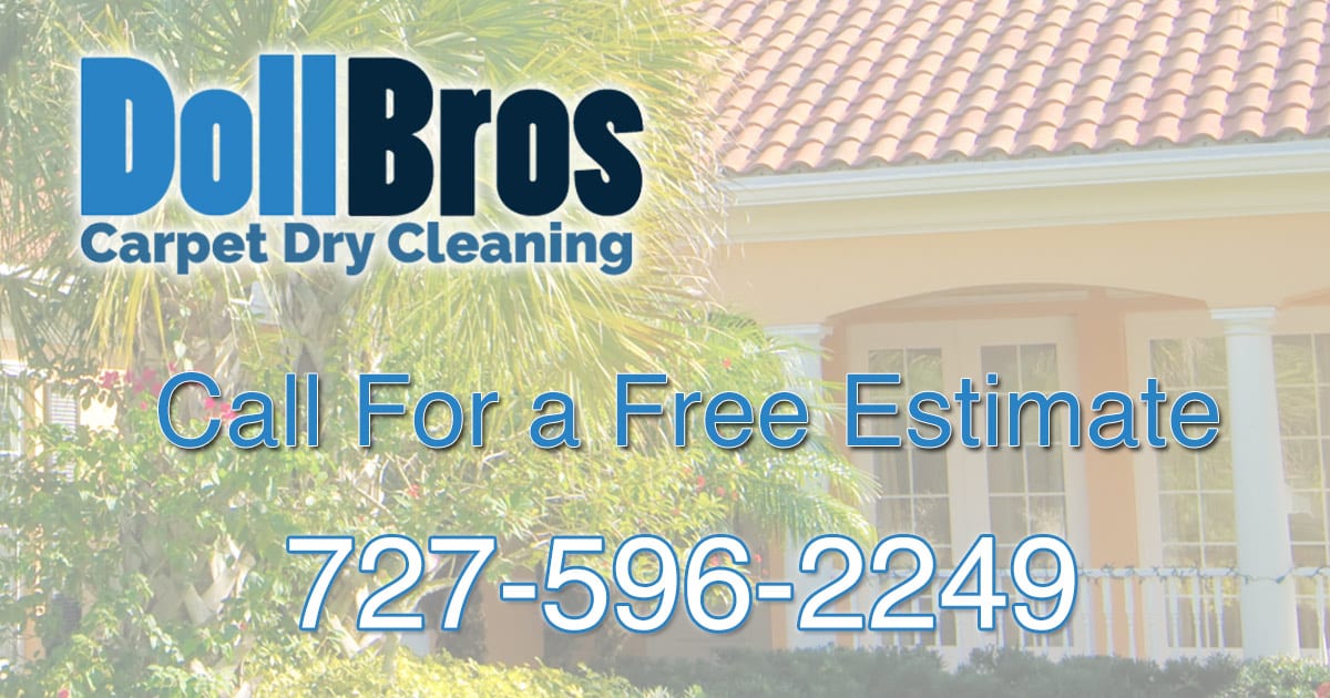 Area Rug Cleaning Drop Off  Brothers Cleaning Services